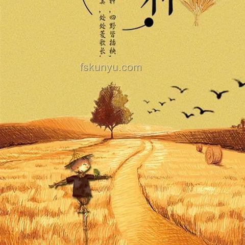 芒种节气饮食选择对比分析